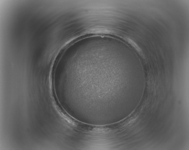 X0000072970840200607282320