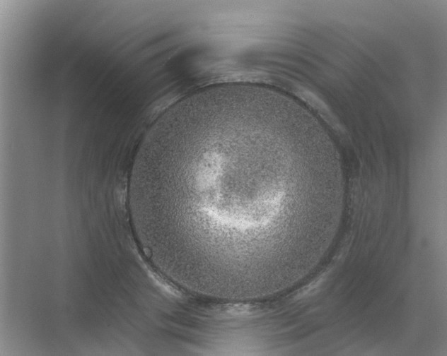 X0000072970841200607282320