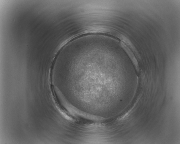 X0000072970842200607282320