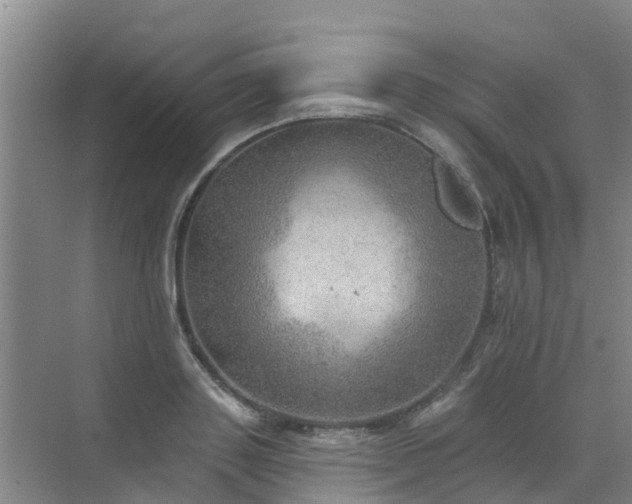 X0000072970843200607282320