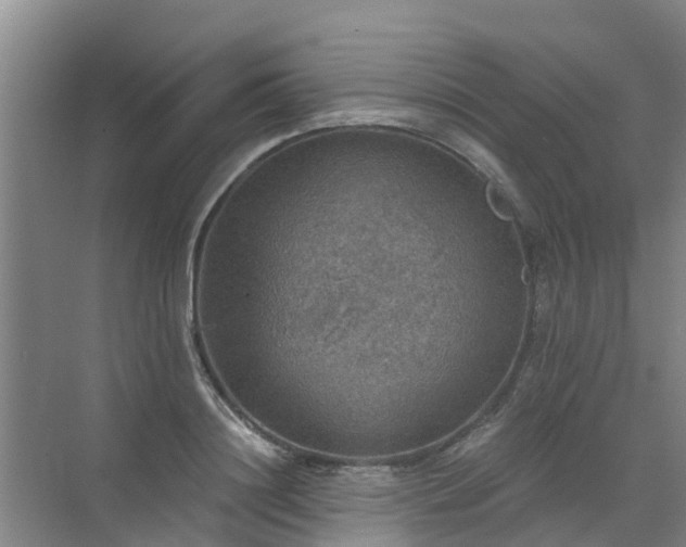 X0000072970844200607282320