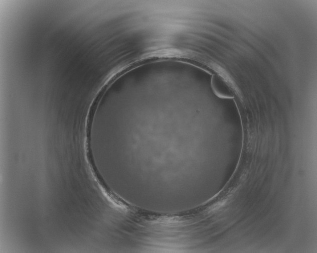 X0000072970845200607282320