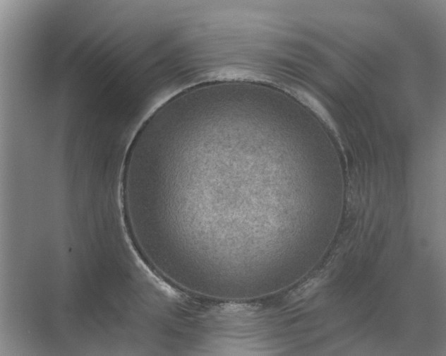 X0000072970847200607282320