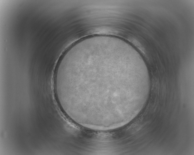 X0000072970848200607282320