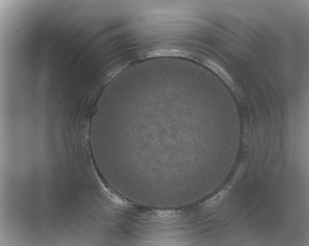 X0000072970849200607282320