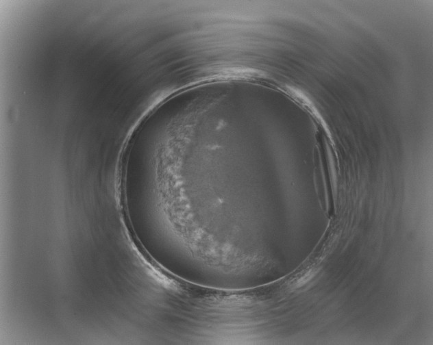 X0000072970851200607282320