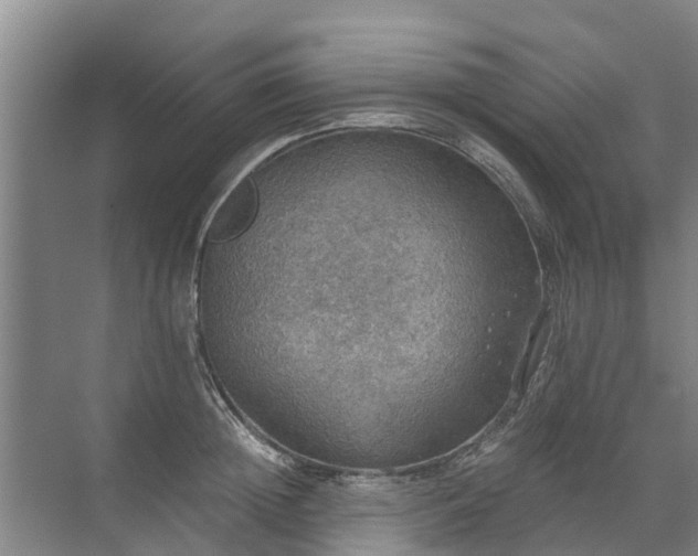 X0000072970852200607282320