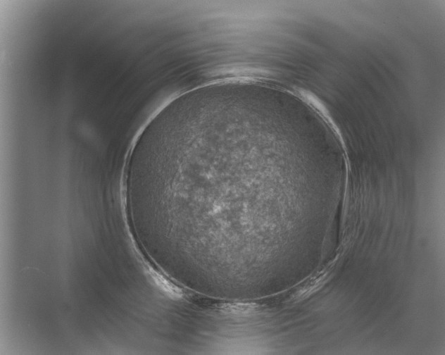 X0000072970859200607282320