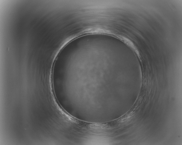 X0000072970863200607282320