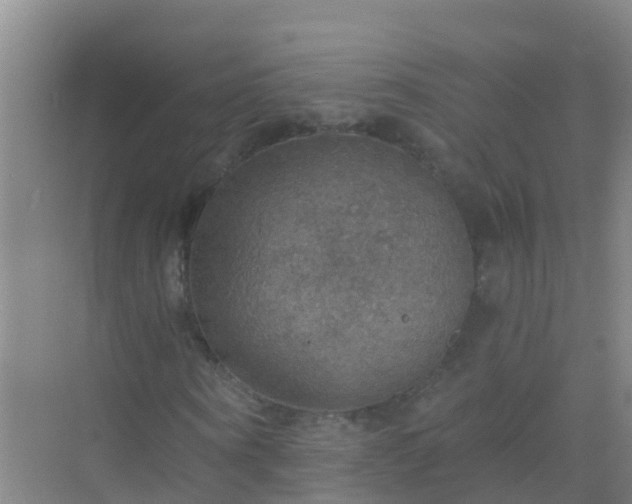 X0000072970866200607282319