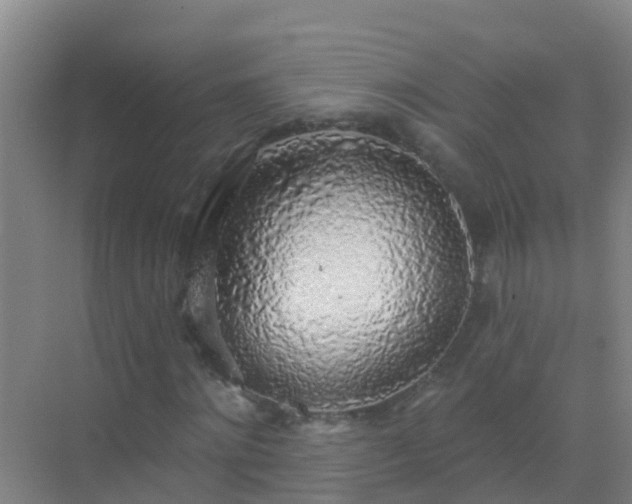 X0000072970868200607282319