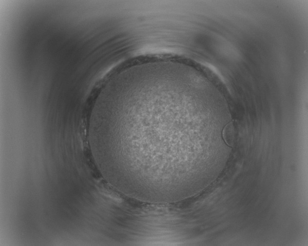 X0000072970871200607282319