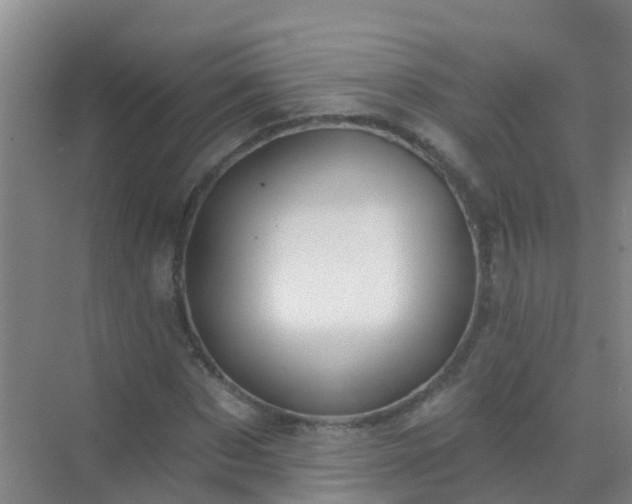 X0000072970873200607282319