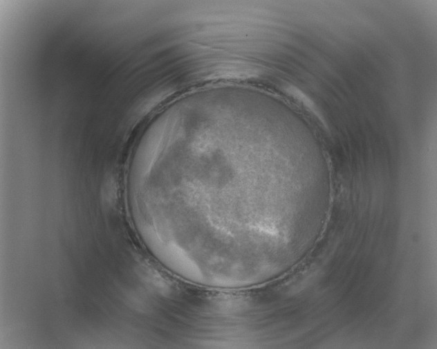 X0000072970874200607282319