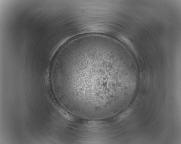 X0000072970875200607282319