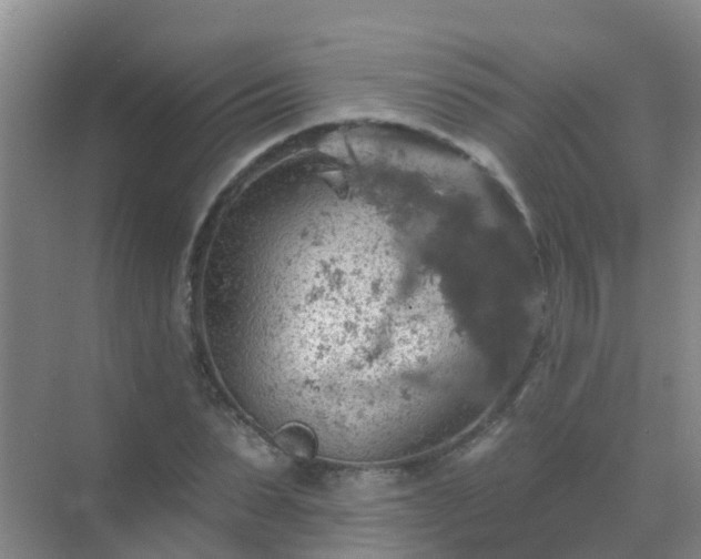 X0000072970879200607282319