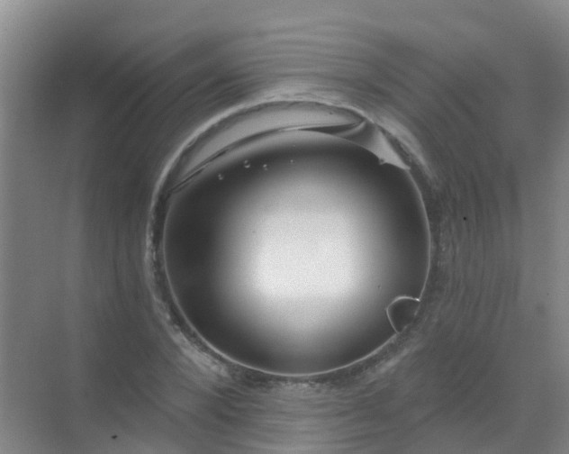 X0000072970880200607282319