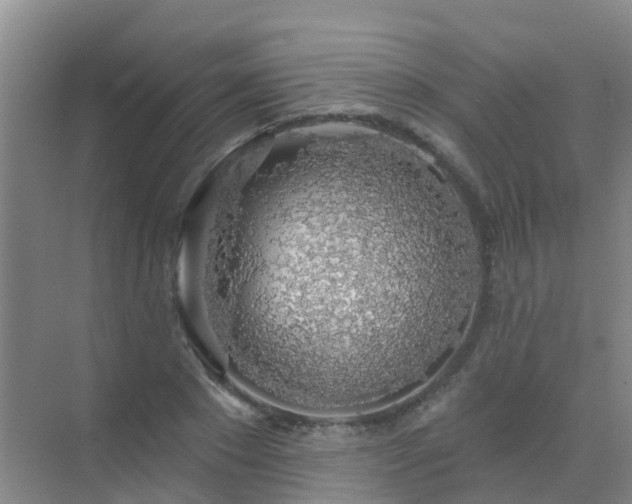 X0000072970881200607282319