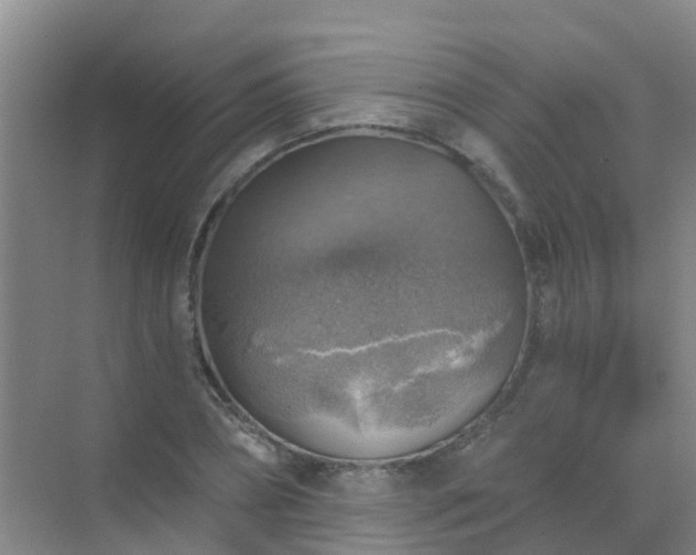 X0000072970882200607282319