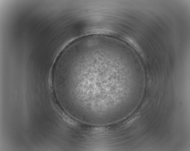 X0000072970883200607282319