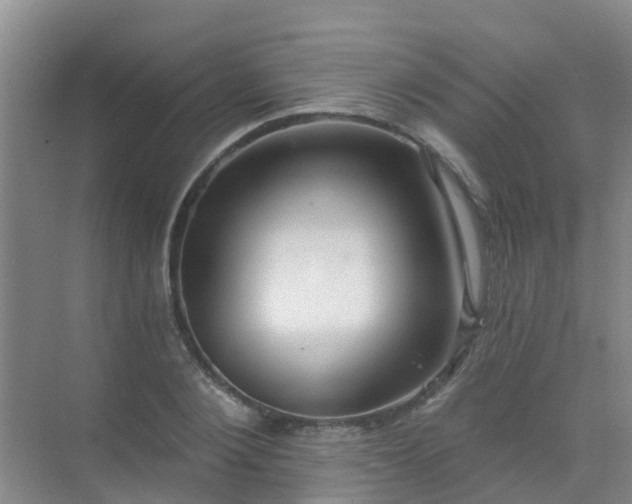 X0000072970884200607282319