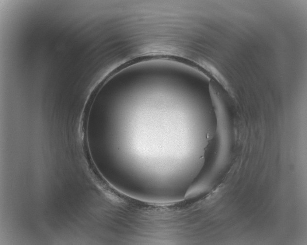 X0000072970885200607282319