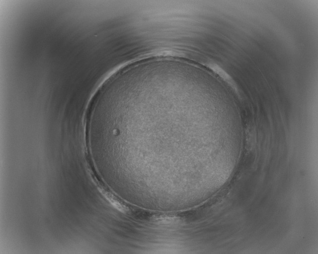 X0000072970886200607282319