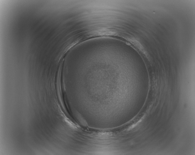 X0000072970889200607282319