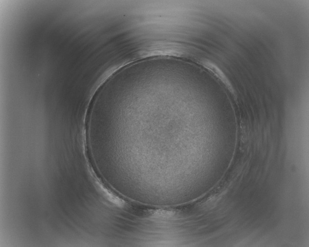 X0000072970890200607282319