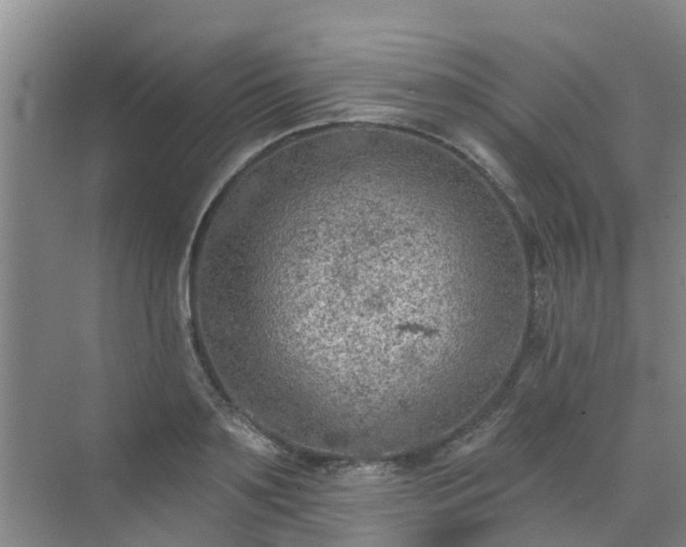 X0000072970891200607282319