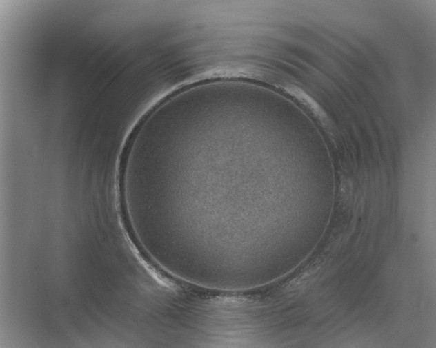 X0000072970894200607282319