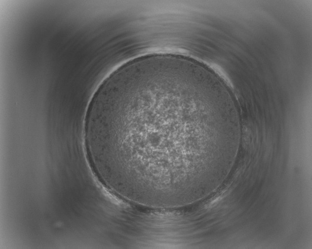 X0000072970895200607282319