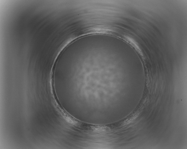 X0000072970899200607282319