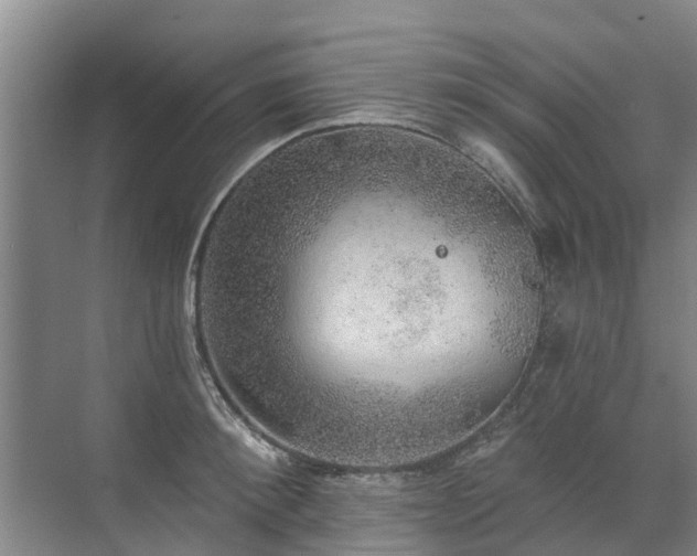 X0000072970900200607282319