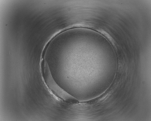 X0000072970902200607282319