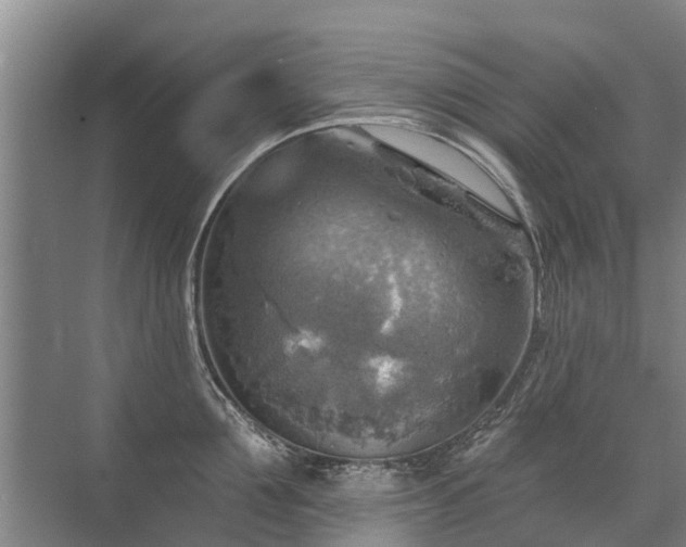 X0000072970907200607282319