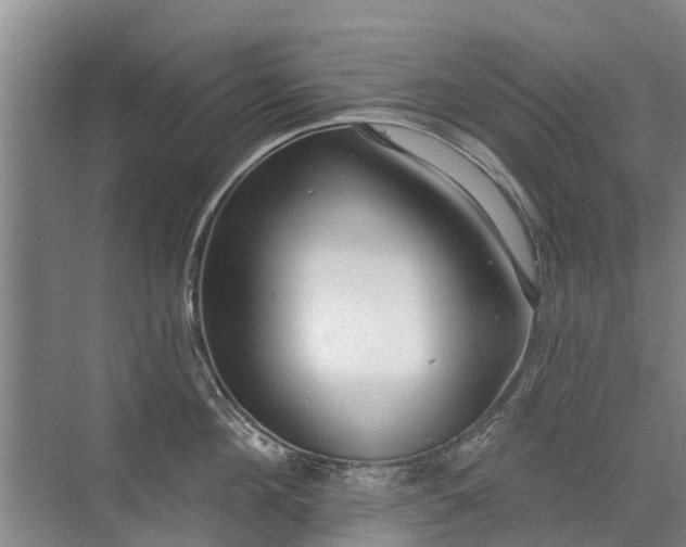 X0000072970908200607282319