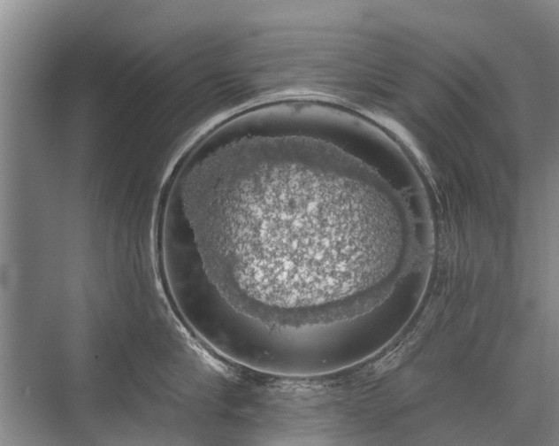 X0000072970910200607282318