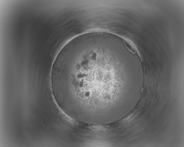 X0000072970911200607282318