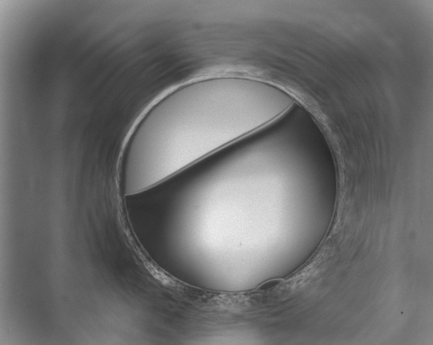 X0000072970912200607282318