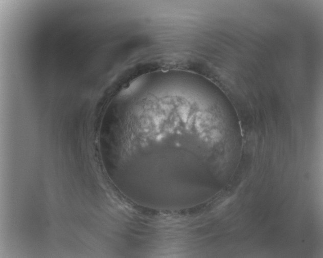 X0000072970913200607282318