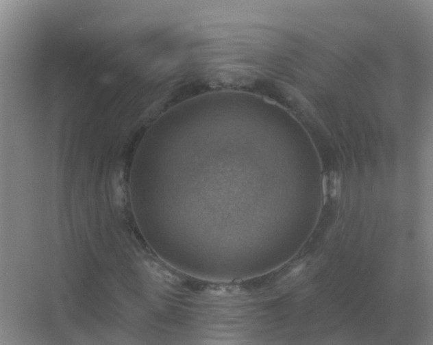 X0000072970915200607282318