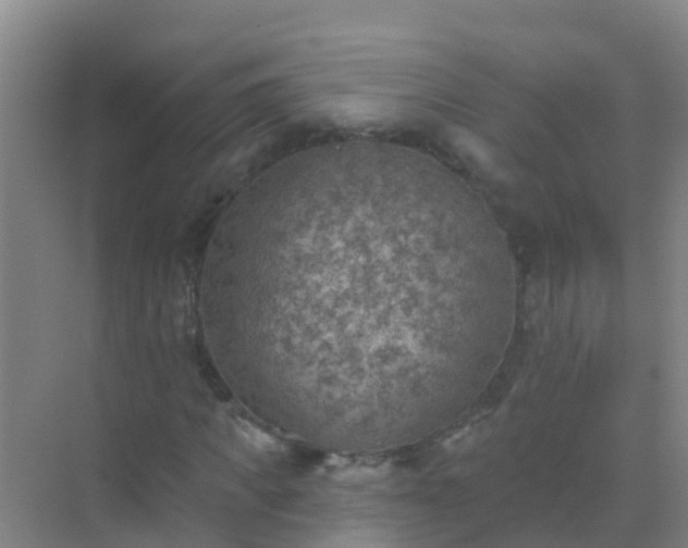 X0000072970917200607282318