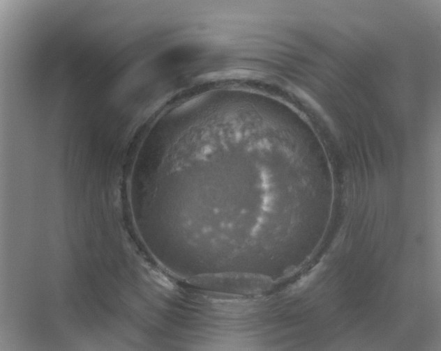 X0000072970921200607282318