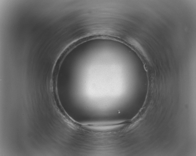 X0000072970924200607282318