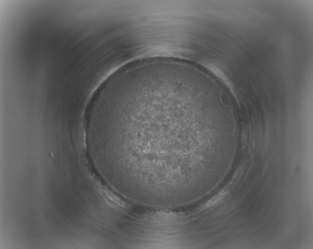 X0000072970925200607282318