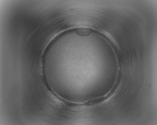 X0000072970926200607282318