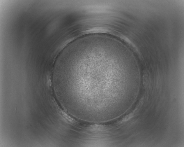 X0000072970929200607282318