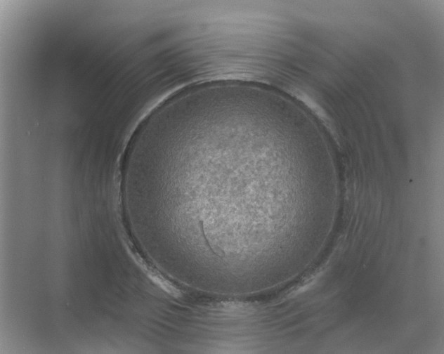 X0000072970933200607282318