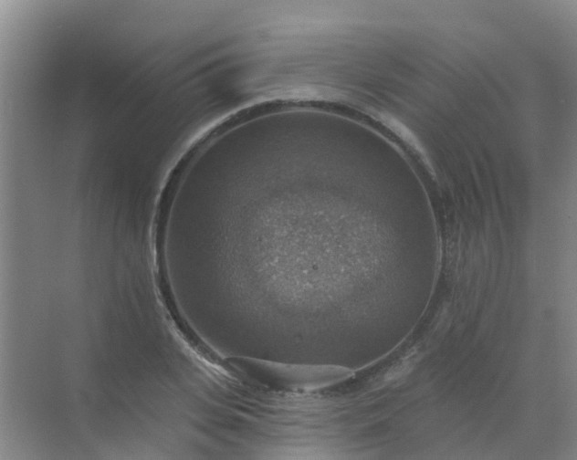 X0000072970935200607282318